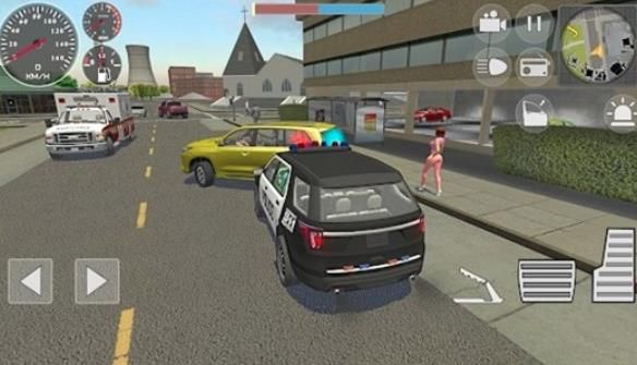 йģؾ2(Police set weapons patrol simulator)