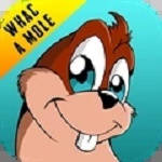 õ