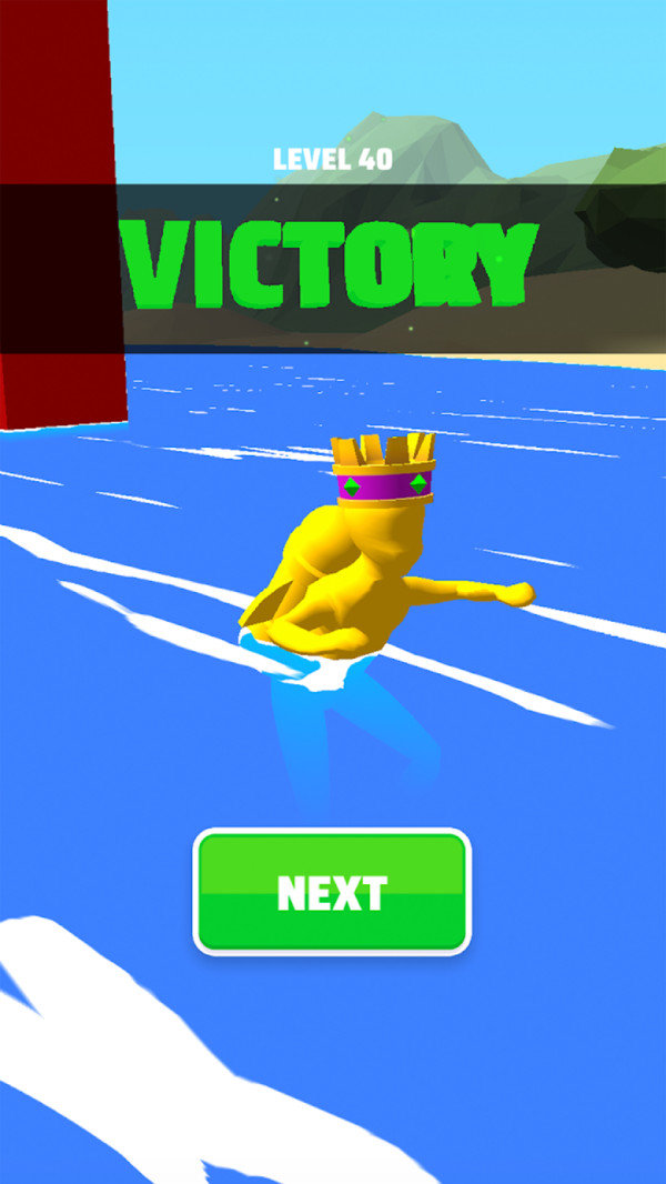 Ladder Runܿ