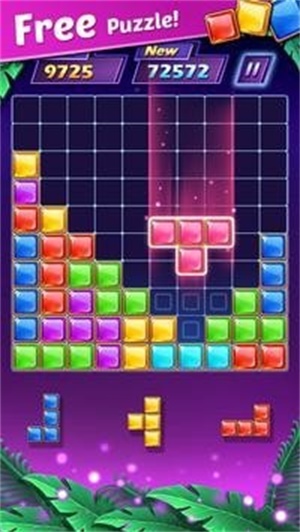 Block PuzzleNew
