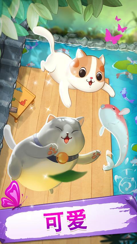 Meowaii