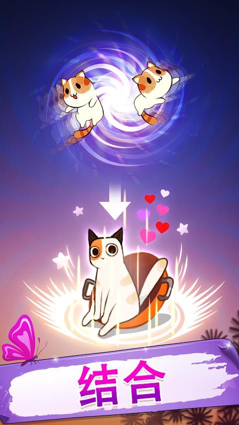Meowaii