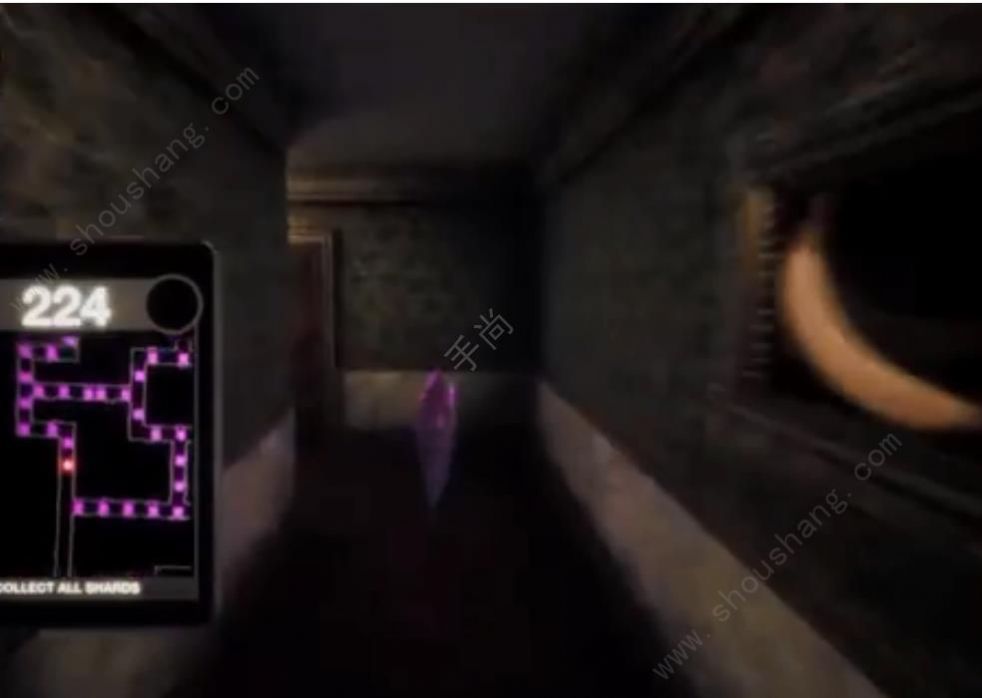 Զ˺