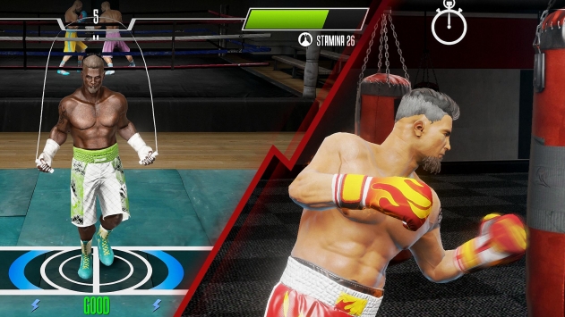real boxing2