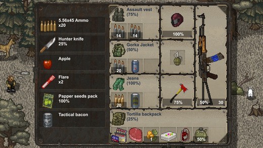 MiniDayZ 2