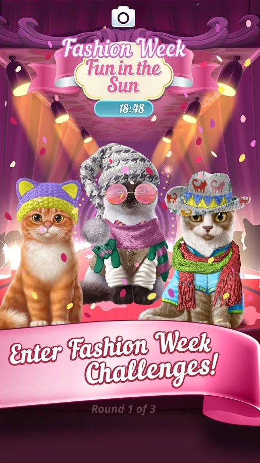 Knittens