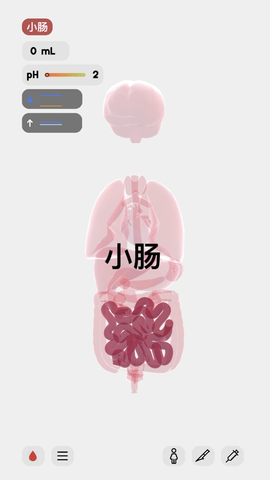 lifeҽѧϷ