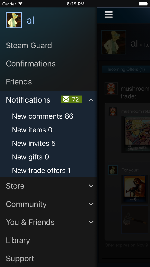 steamй