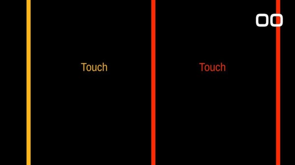 ˫