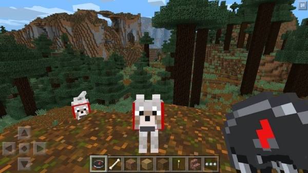 minecraftjava(ҵ)