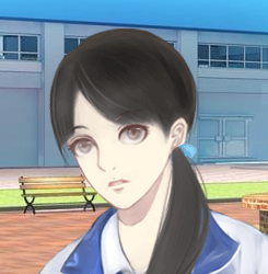 ʮ·粨