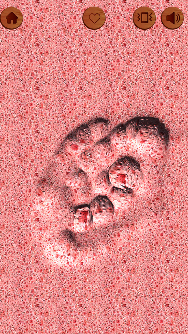 ѹ2021