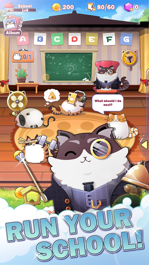 cat school
