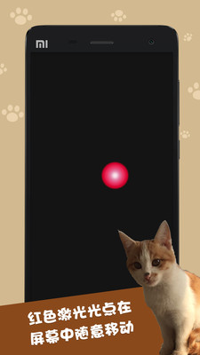 Cat Toys