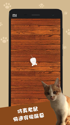 Cat Toys