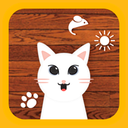 Cat Toys