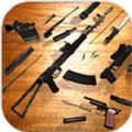 ǹеģ(Weapon Field Strip)