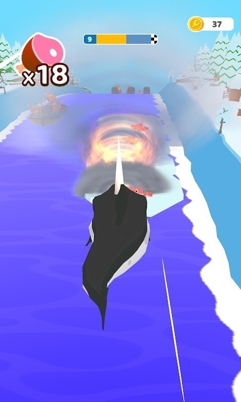 sharkrun
