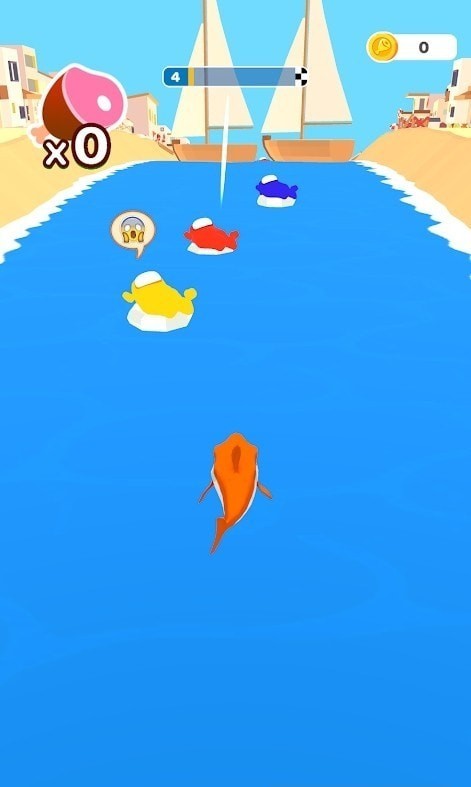 sharkrun