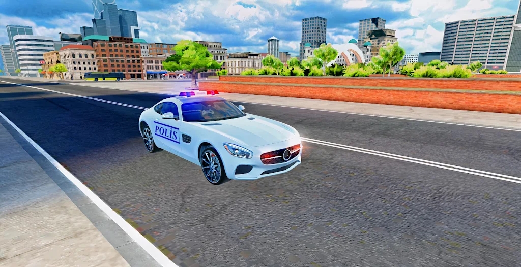 Mercedes Police Car Game 2021