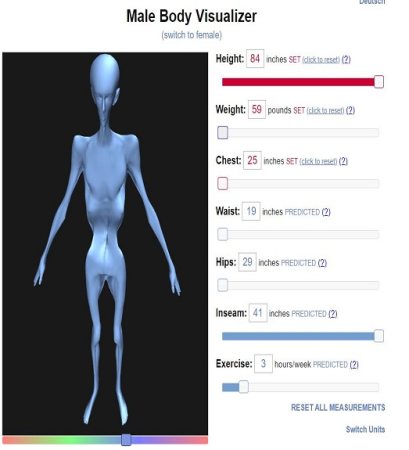 ģ(bodyvisualizer)