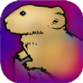 õ(Life of Pika)