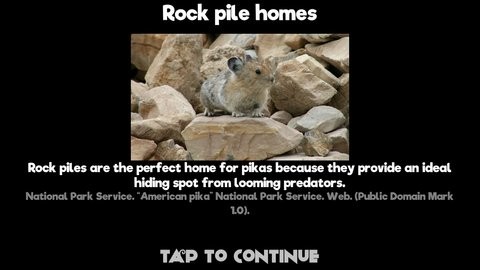 õ(Life of Pika)