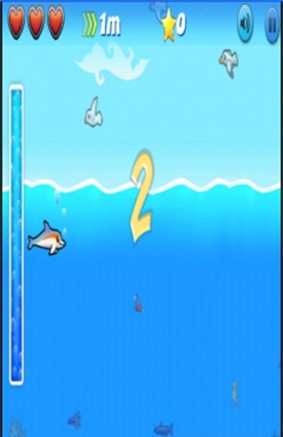 (Dolphin)
