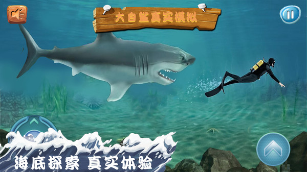 ʵģ