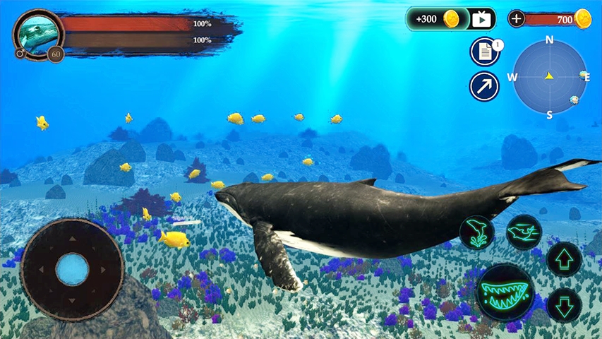 Ǳˮģ(The Humpback Whales)
