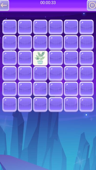 Mem Game