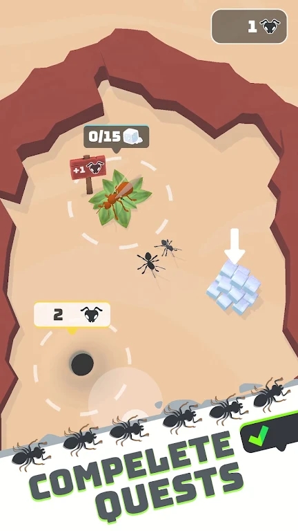 ֮(Ant Land)