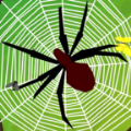 IDLE Spiders
