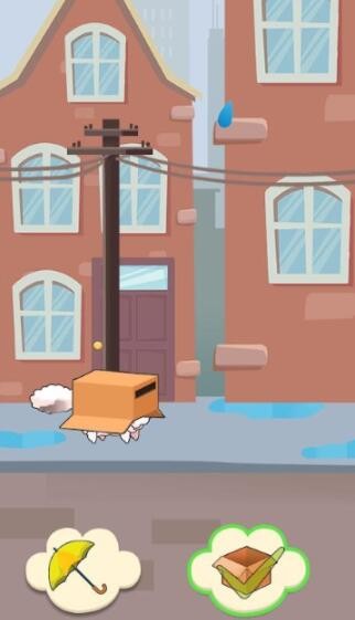 Cat Love Story
