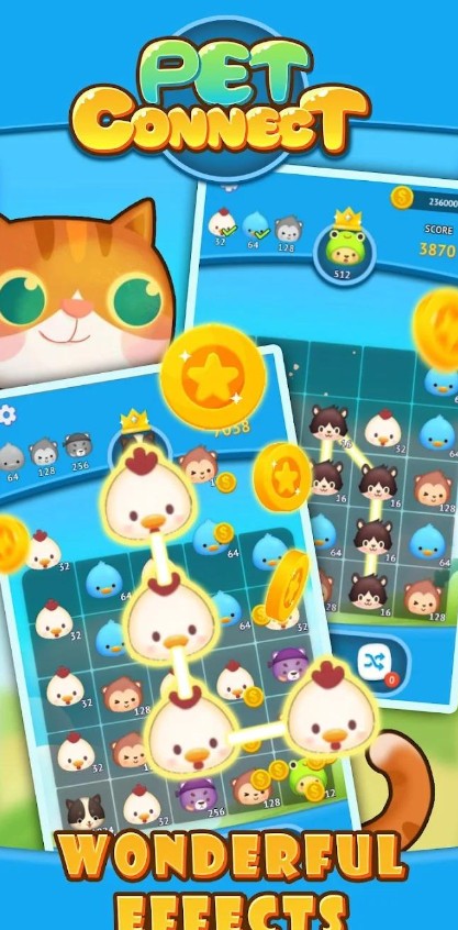 Pet Connect