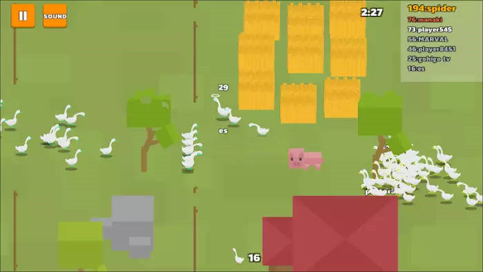 goose crazy