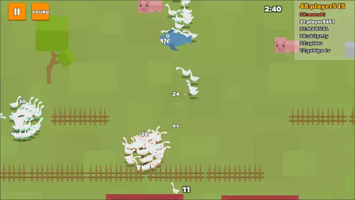 goose crazy