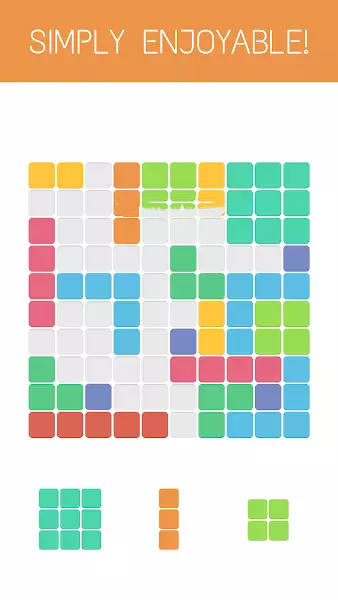 Riki Puzzle