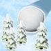 ѩܿð(Snow Ball)
