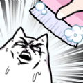 ޲ϴ裨cat no wash