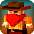 ҵ(Wildwest Craft)