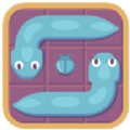 Puzzle Snakes
