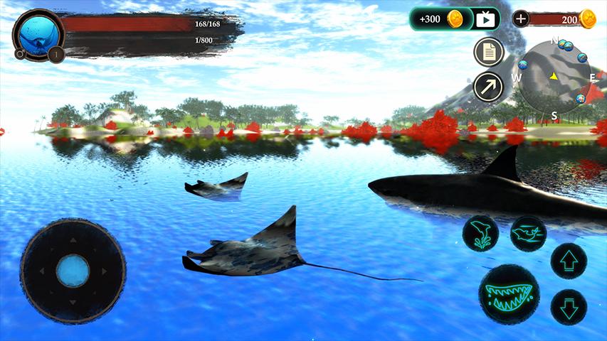 ģ(The Manta rays)