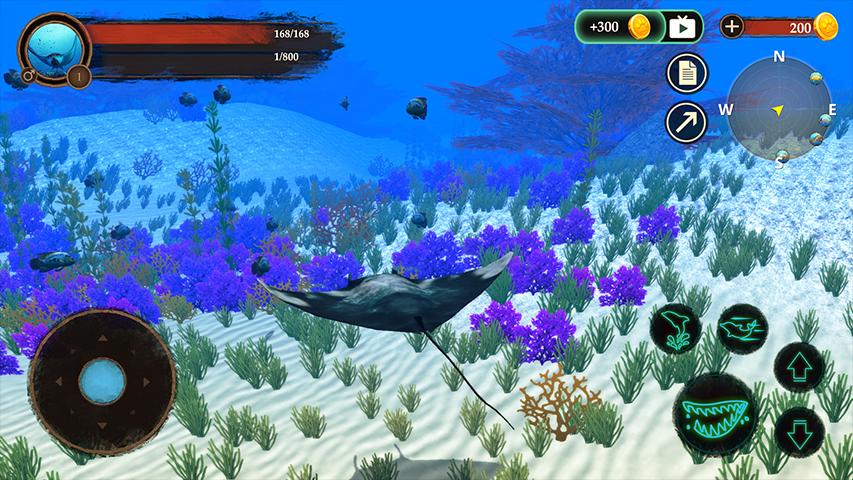 ģ(The Manta rays)