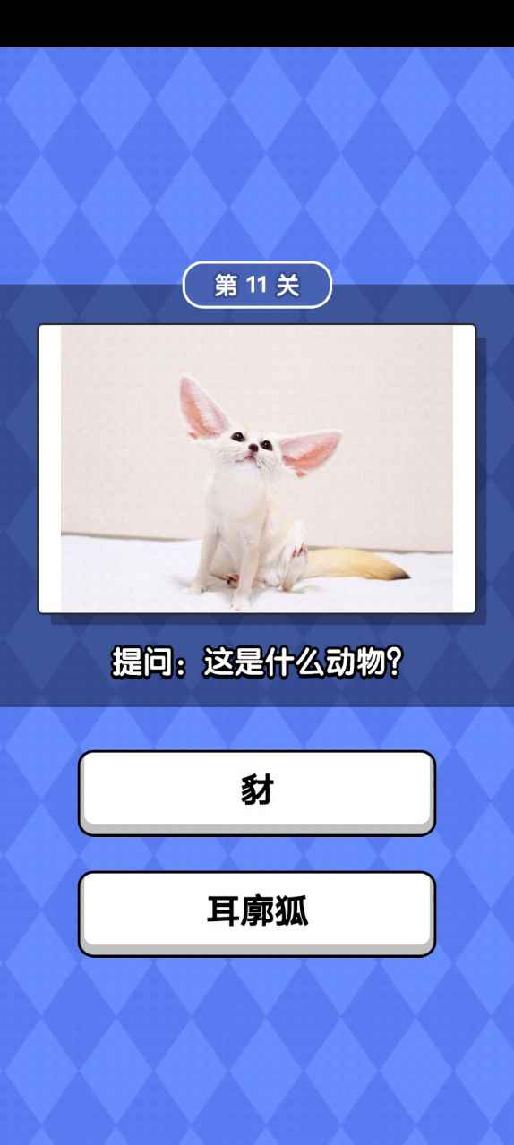 ﻬ
