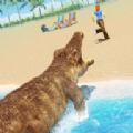 Crocodile Attack