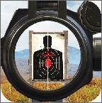 bulls eye archer