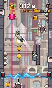 cat jump