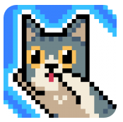 cat jump