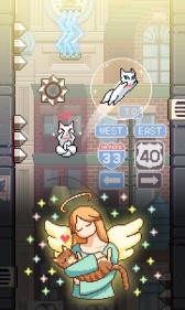 cat jump